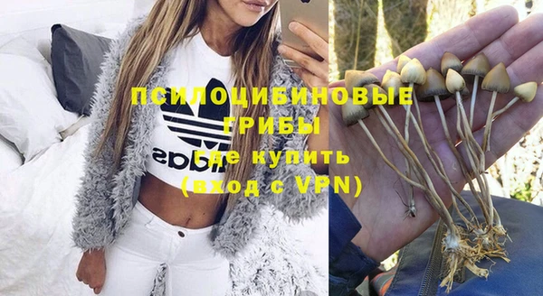 прущая мука Аркадак