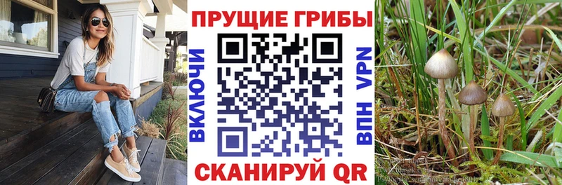 это состав  Всеволожск  Галлюциногенные грибы мухоморы 