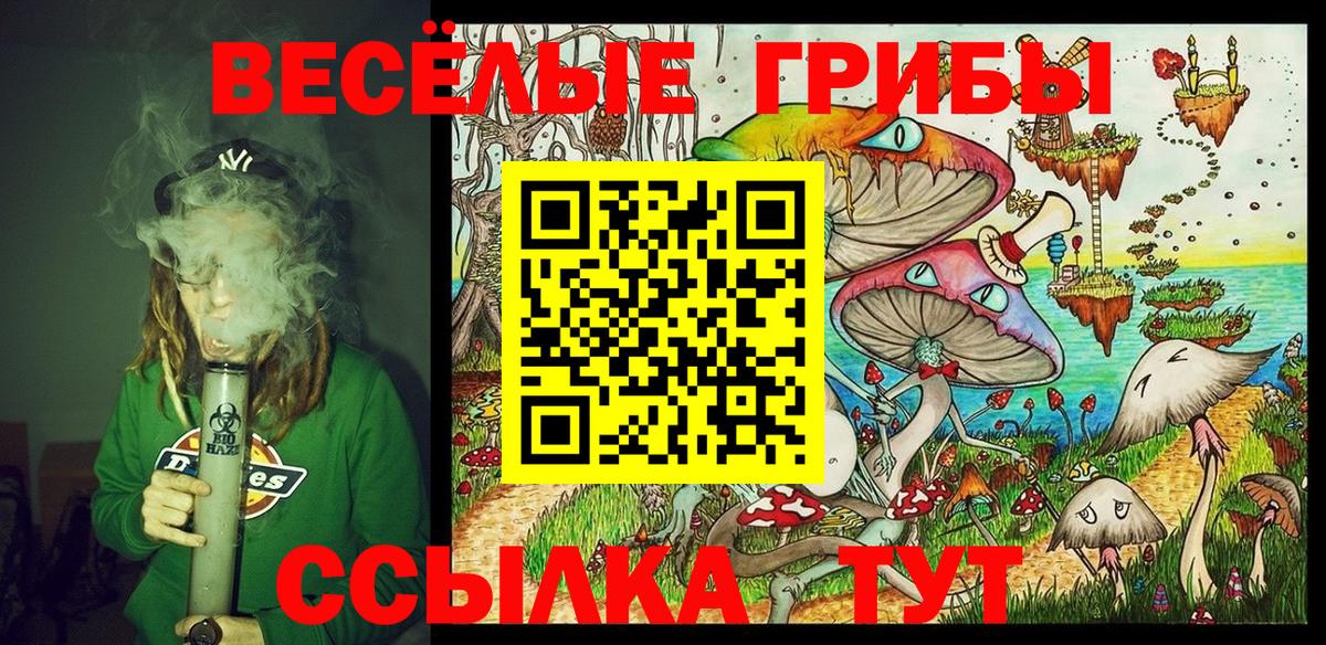 Псилоцибиновые грибы MAGIC MUSHROOMS  Вход с VPN  Галлюциногенные грибы мухоморы  Всеволожск 